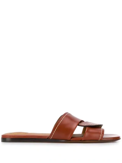 Shop Chloé Candice Flat Mules In Brown