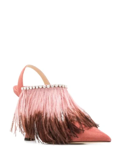 Shop Jimmy Choo Ambre 100mm Pumps In Pink