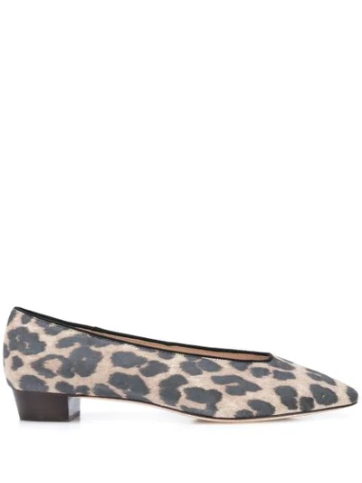 Shop Loeffler Randall Simone Leopard-print Ballerina Shoes In Brown