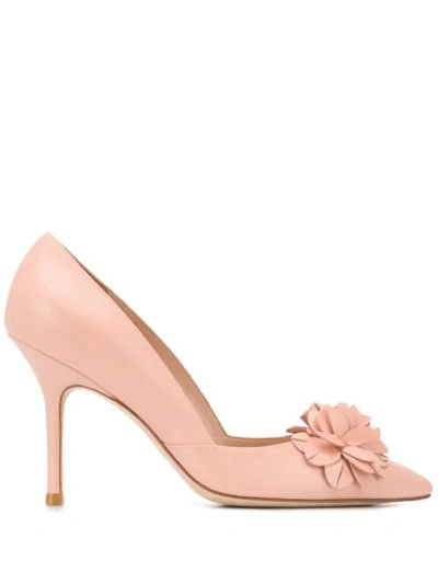 Shop Stuart Weitzman Pointed Petal Court Heels In Neutrals