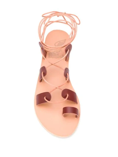 Shop Ancient Greek Sandals Alcyone Strappy Sandals In Neutrals