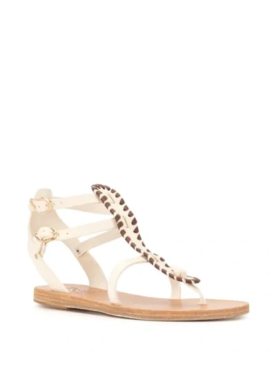 Shop Ancient Greek Sandals Alexa Flat Sandals In White