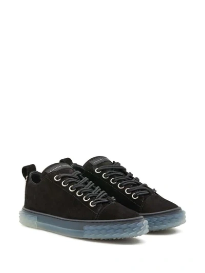 Shop Giuseppe Zanotti Blabber Low-top Sneakers In Black