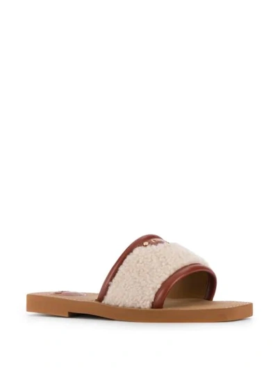 Shop Chloé Woody Shearling Slides In Neutrals