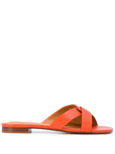 Shop Clergerie Iston Low-heel Sandals In Orange