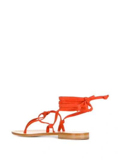 Shop P.a.r.o.s.h Lace-up Thong Sandals In Orange