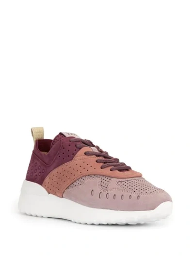 Shop Tod's Panelled Low-top Sneakers In Purple