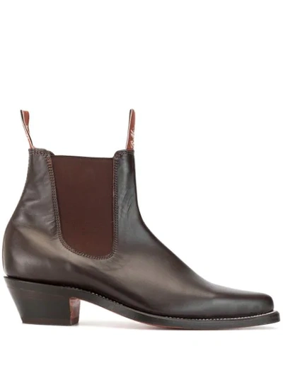 Shop R.m.williams Millicent Point-toe Chelsea Boots In Brown