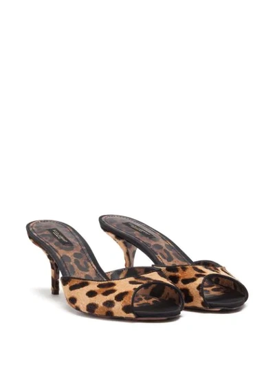 Shop Dolce & Gabbana Leopard-print Sandals In Brown