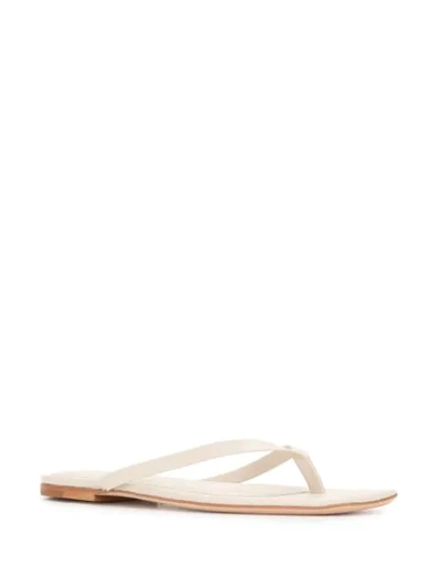 STUDIO AMELIA FLAT THONG-STRAP SANDALS 