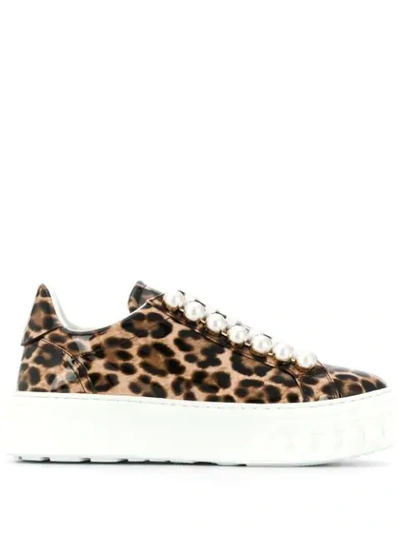 Shop Casadei Leopard-print Low-top Sneakers In Neutrals