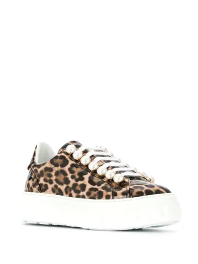 Shop Casadei Leopard-print Low-top Sneakers In Neutrals