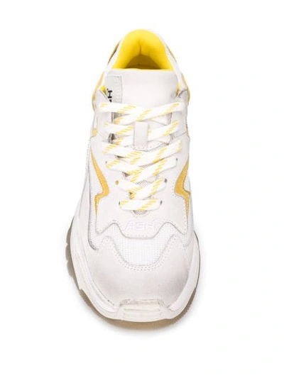 Shop Ash Addict Low-top Trainers In White