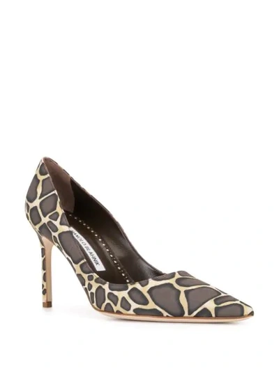 Shop Manolo Blahnik Lisa 90mm Pumps In Multicolour