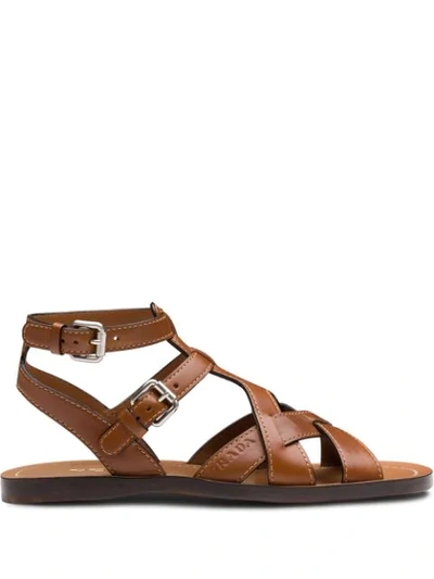 Shop Prada Flat Gladiator Sandals In Brown