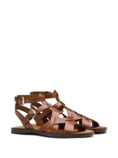 Shop Prada Flat Gladiator Sandals In Brown