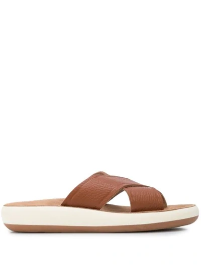 Shop Ancient Greek Sandals Thais Flat Slides In Brown