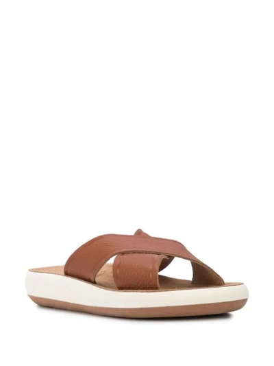 Shop Ancient Greek Sandals Thais Flat Slides In Brown