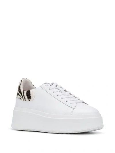 Shop Ash Moby Platform Trainers In White