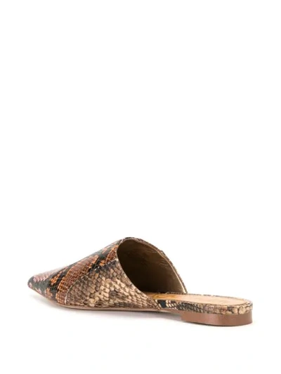 Shop Sam Edelman Seena Snake Print Mules In Brown