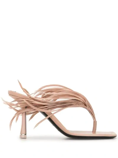 Shop Alexander Wang Ivy Feather Sandals In Pink