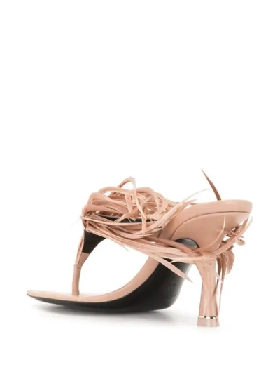 Shop Alexander Wang Ivy Feather Sandals In Pink