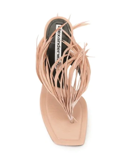 Shop Alexander Wang Ivy Feather Sandals In Pink