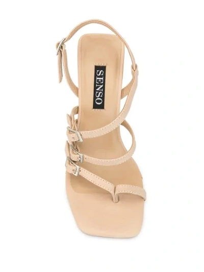 Shop Senso Odette Sandals In Brown