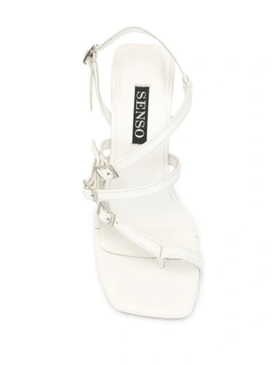 Shop Senso Odette Sandals In White