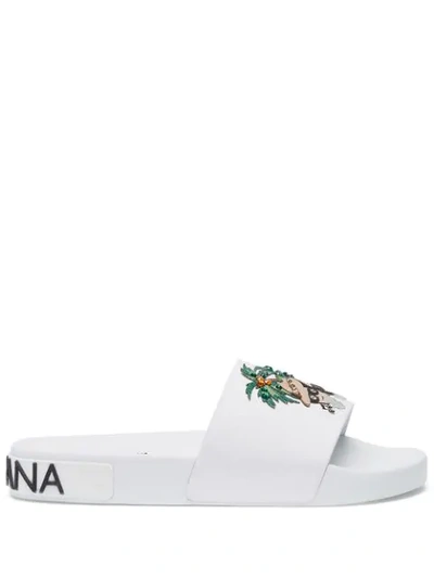 Shop Dolce & Gabbana Studded Beach Slides In White