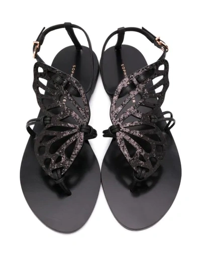 Shop Sophia Webster Butterfly Thong Sandals In Black