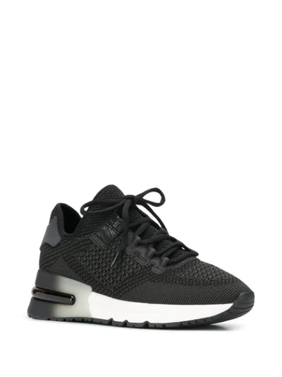 Shop Ash Krush Low-top Trainers In Black