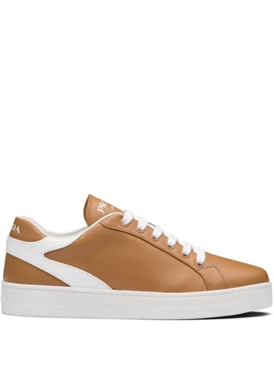 Shop Prada Stitched Detail Low-top Sneakers In Brown