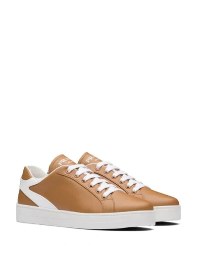 Shop Prada Stitched Detail Low-top Sneakers In Brown
