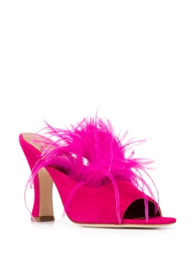 Shop Paris Texas Feather-embellished Mules In Pink