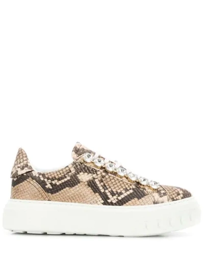 Shop Casadei Savana Low-top Trainers In Neutrals