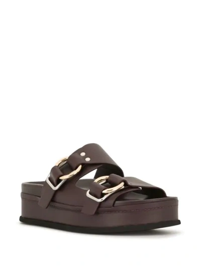 Shop 3.1 Phillip Lim Freida Double-buckle Platform Slides In Purple