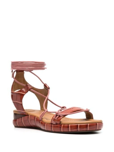 Shop Chloé Crocodile Embossed Lace-up Flat Sandals In Brown