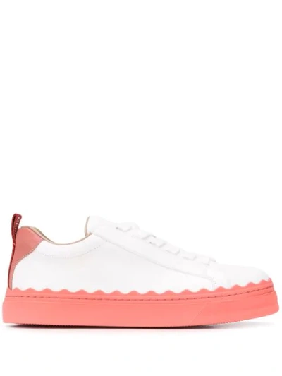Shop Chloé Lauren Low-top Leather Sneaker In White