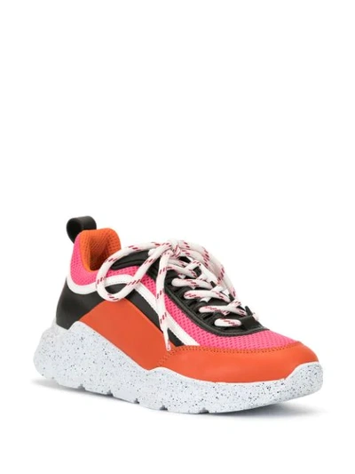 Shop Msgm Hiking College-logo Sneakers In Multicolour