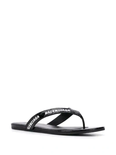 Shop Balenciaga Crocodile Effect All-over Logo Sandals In Black
