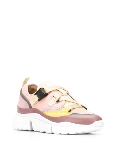 Shop Chloé Sonnie Low-top Sneakers In Pink