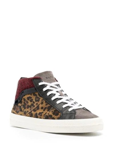 Shop Date Leopard High-top Sneakers In Grey