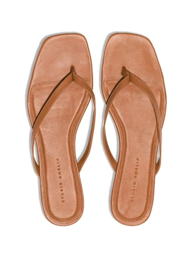 Shop Studio Amelia Flat Flip-flop Sandals In Brown