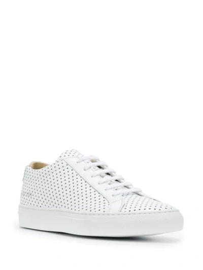 Shop Common Projects Achilles Premium Low Perforated Sneakers In White