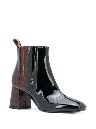 Shop Pollini Two-tone Ankle Boots In Black