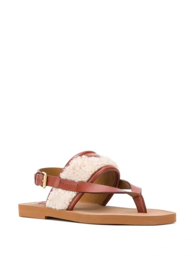 Shop Chloé Woody Flat Faux-shearling Sandals In Brown