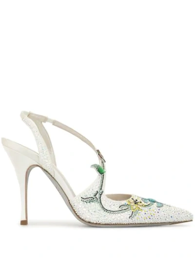 Shop René Caovilla Flora Pointed Pumps In White