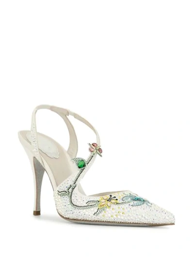 Shop René Caovilla Flora Pointed Pumps In White