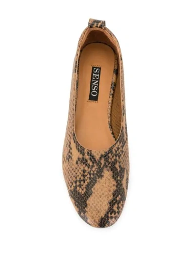 Shop Senso Daphne Ballerina Shoes In Brown